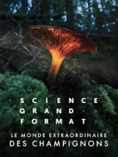     Le monde extraordinaire des champignons