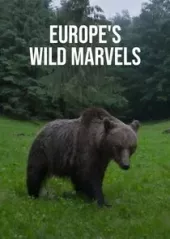     Europe's Wild Marvels