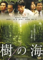 Morze drzew za górą Fudżi