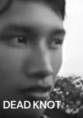     Sijie