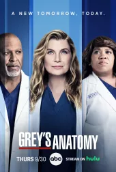     Grey's Anatomy