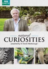     David Attenborough's Natural Curiosities
