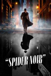     Spider-Noir