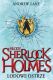 Młody Sherlock Holmes. Lodowe ostrze