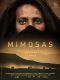 Mimosas, la voie de l’Atlas