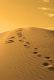 Man in the Desert