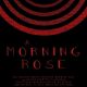 A Morning Rose