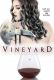 Vineyard