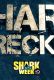 Sharkwrecked