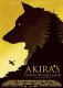 Akira’s Flying Wheelchair
