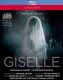 Royal Opera House: Giselle