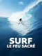 Surfing. Historia nieznana