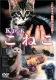 The Little Cat