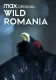 Dzika Rumunia
