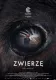 Zwierzę