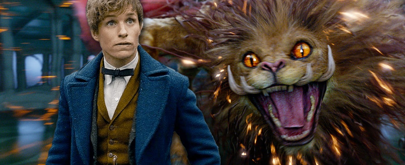 Harry Potter i Fantastyczne Zwierzęta – przewodnik po magicznym świecie stworzeń