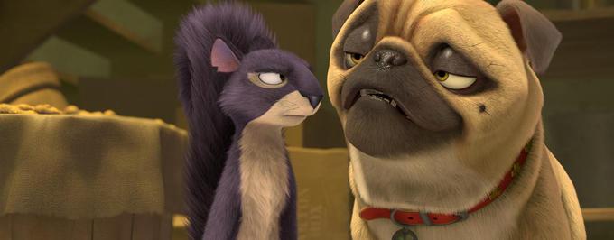     [wideo] Wiewiórki robią skok po orzeszki