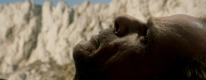     BERLINALE 2014: Szybki jak ślimak, dynamiczny jak żółw