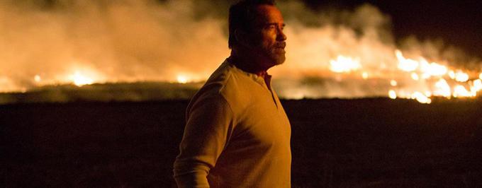 Arnold Schwarzenegger w dramacie o zombie. Zobacz zdjęcia z  „Maggie”