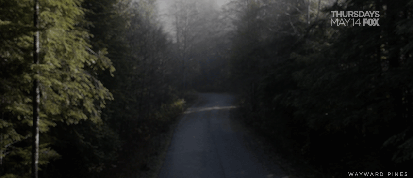     Zwiastun serialu „Wayward Pines” twórcy „Szóstego zmysłu”