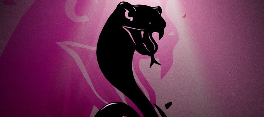 WĘŻE 2015. „Obce ciało” deklasuje konkurencję. Oto zwycięzcy!