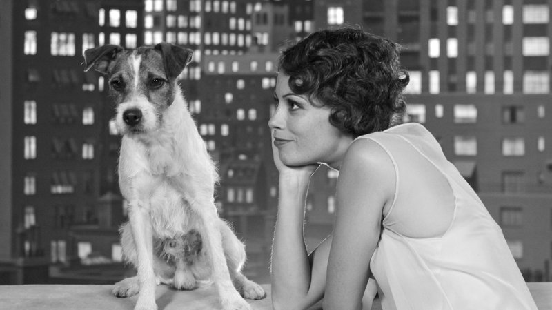     Uggie z filmu „Artysta” nie żyje
