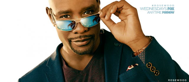     Rosewood skasowane. Nie będzie 3. sezonu