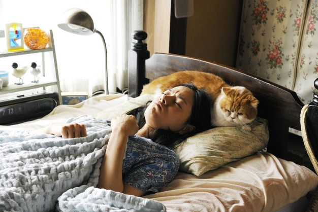     9. edycja Festiwalu Pięć Smaków – relacja druga