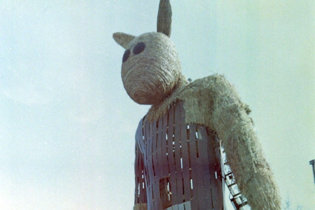     Joker, który stał się Misiem