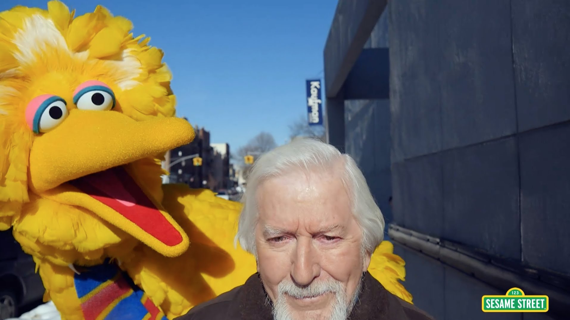 żółty Ptak Z Ulicy Sezamkowej Ptak z Ulicy Sezamkowej – Caroll Spinney - naEKRANIE.pl