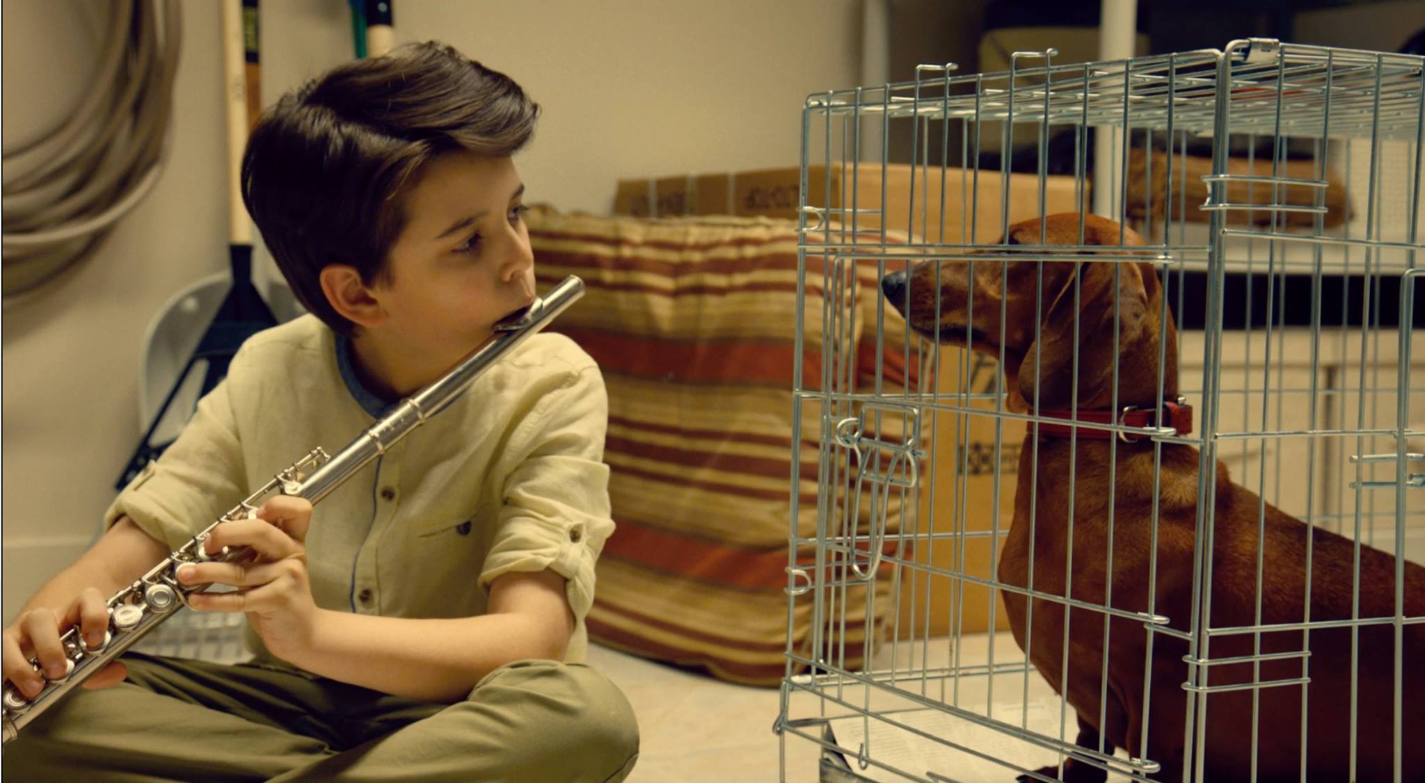 Wiener-Dog: zwiastun nowego filmu Todda Solondza