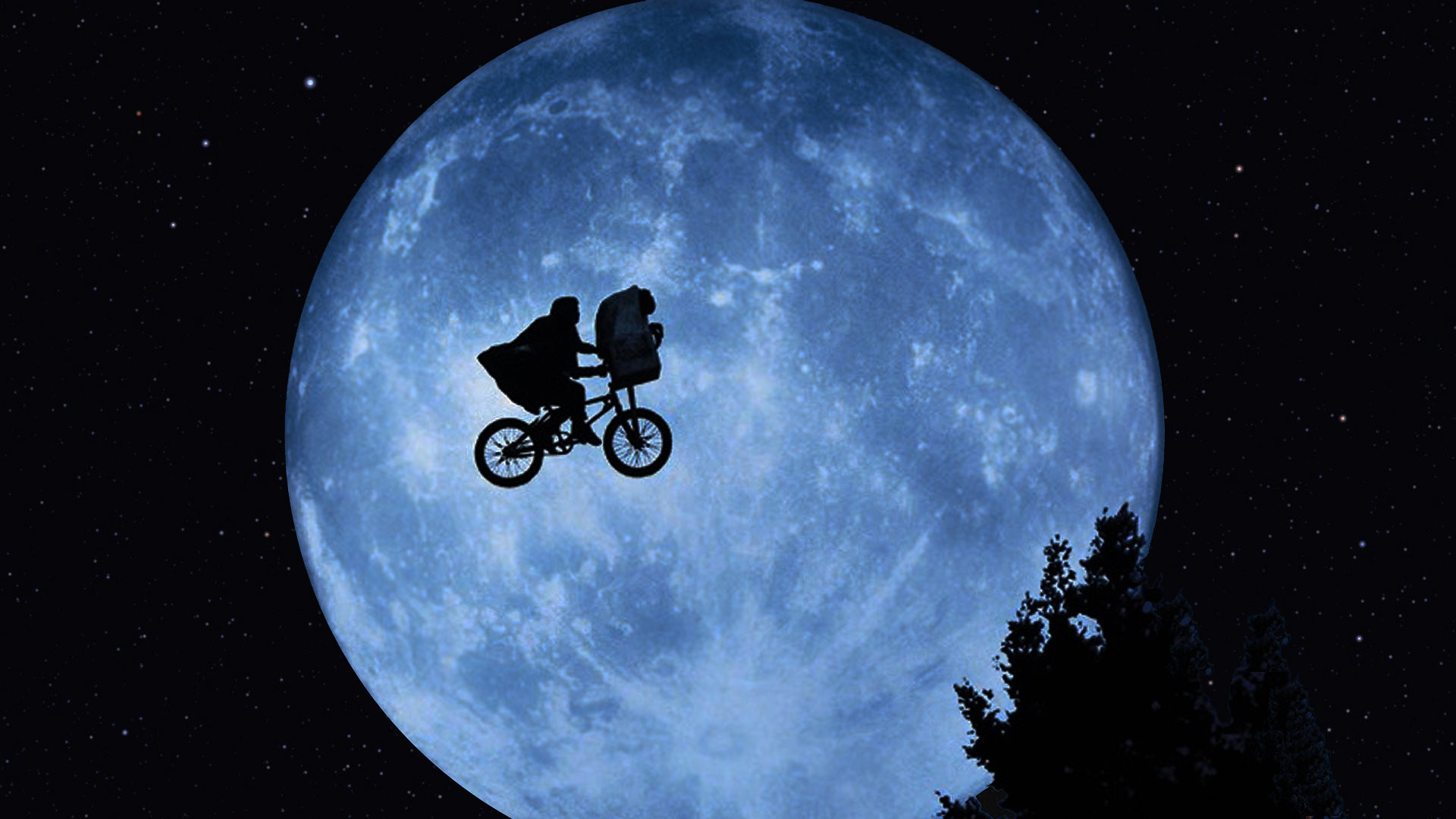 Filmy familijne ze zwierzakami i innymi stworzeniami