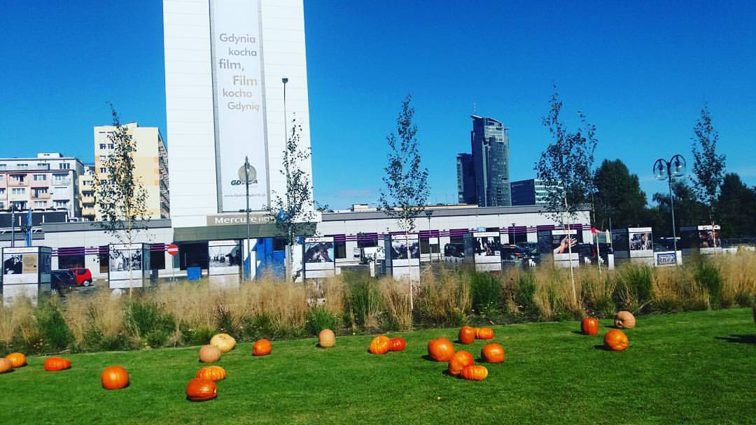 Kino gatunkowe kontra autorskie. Relacja z 1. dnia Festiwalu Filmowego w Gdyni