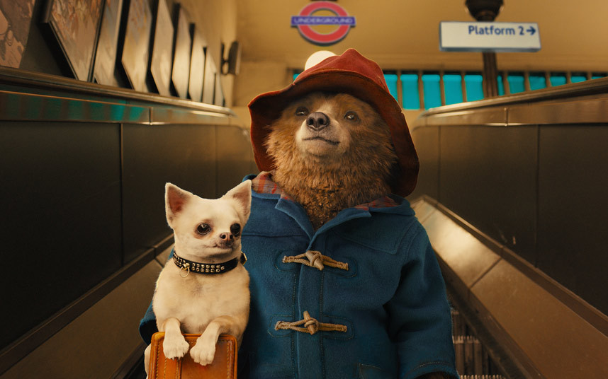 Hugh Grant w obsadzie filmu Paddington 2
