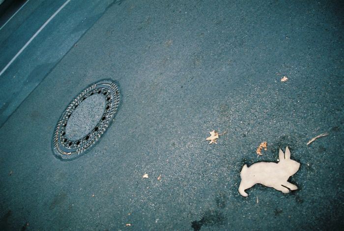     Najciekawsze polskie filmy dokumentalne