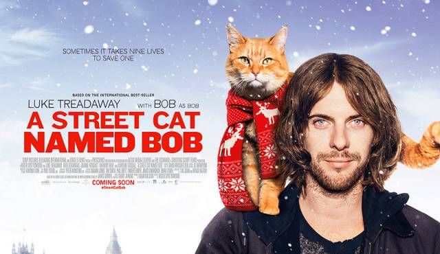     Kot Bob i ja – reedycja filmowa książki Jamesa Bowena