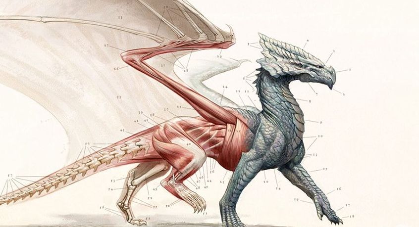     Premiery książkowe, których nie możecie przegapić – luty 2017