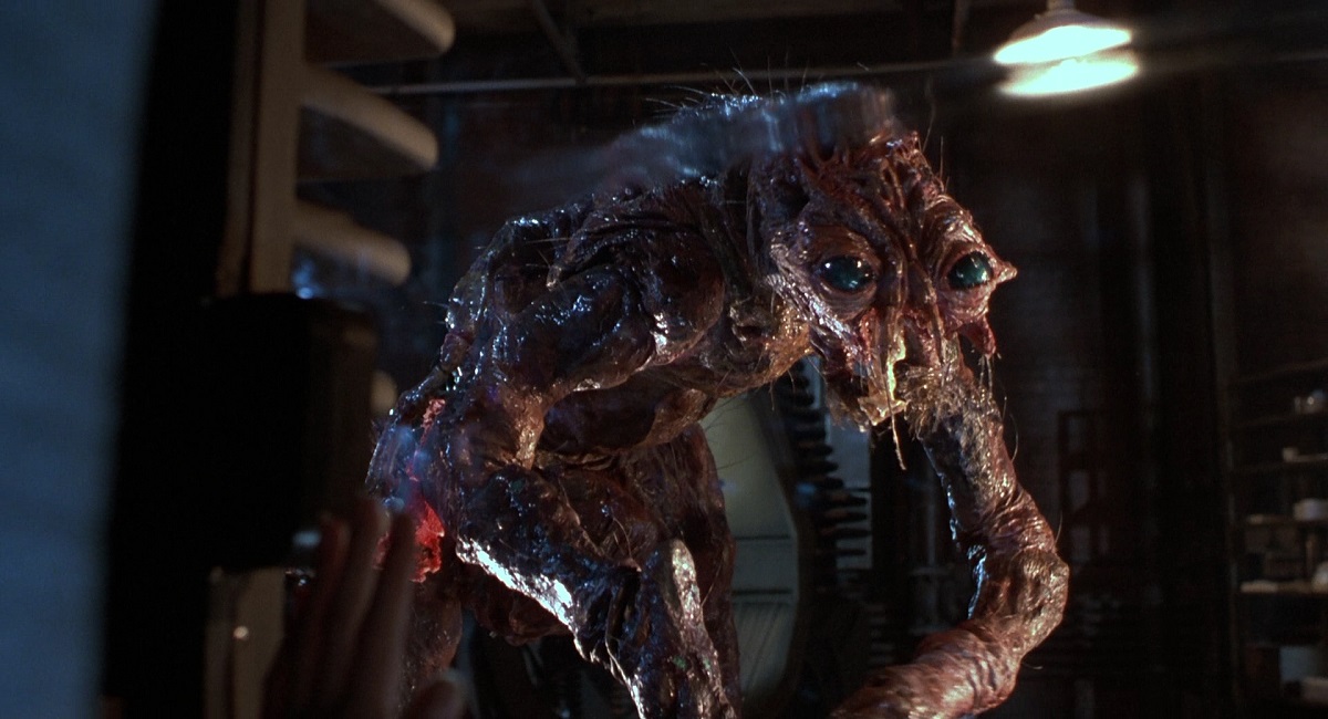     Początkujący reżyser nakręci i napisze remake Muchy?