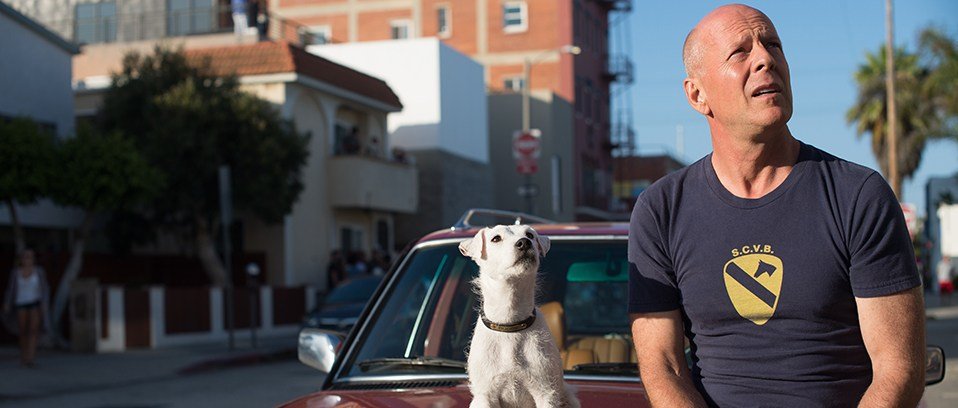     Ukradli psa Bruce’owi Willisowi. Zwiastun filmu akcji Once Upon a Time in Venice