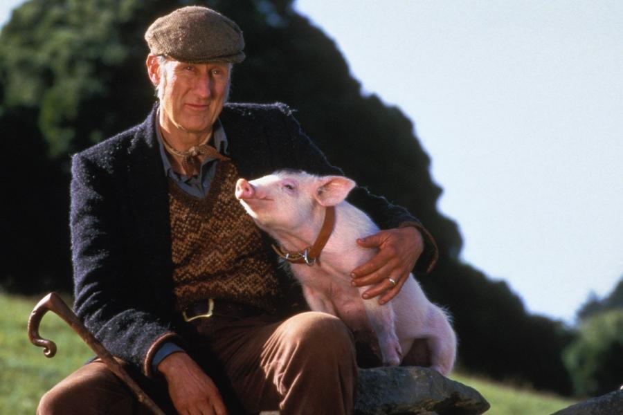     James Cromwell gwiazda American Horror Story trafi do więzienia