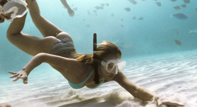     Warto obejrzeć na Showmax: Błękitna głębia