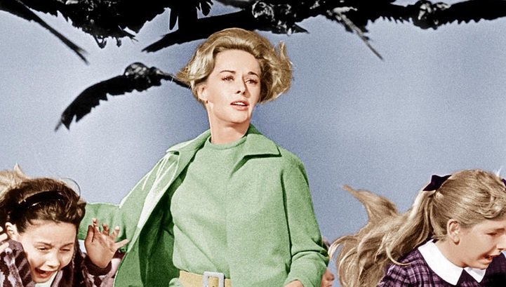     BBC stworzy telewizyjny remake filmu Ptaki