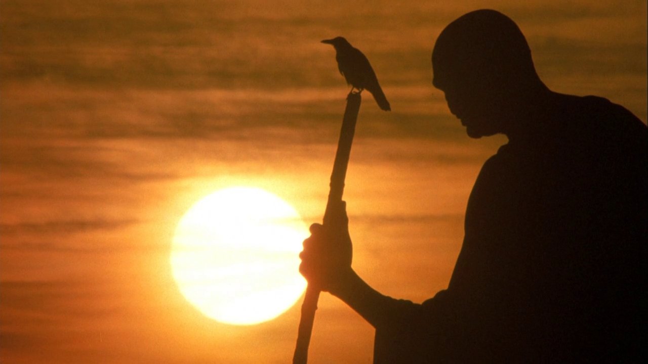     Muzyka filmowa: Powaqqatsi