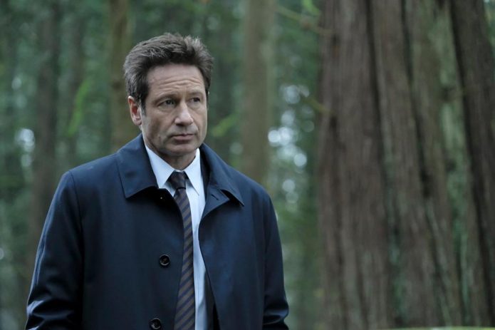 David Duchovny kończy 60 lat! Ile niedoszły doktor ma wspólnego z Hankiem Moodym?