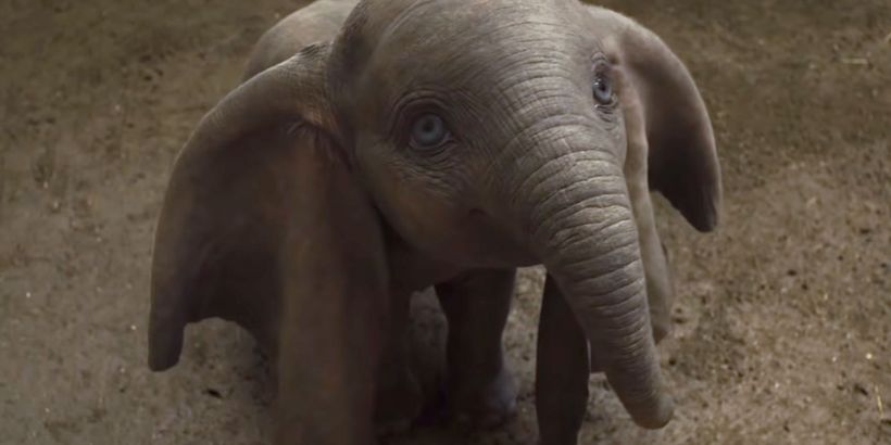     Box Office: Dumbo pokonuje To my. Kapitan Marvel na podium