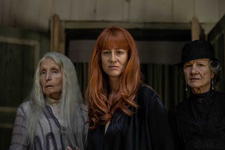 Polacy nie gęsi i swoje kino gatunkowe mają