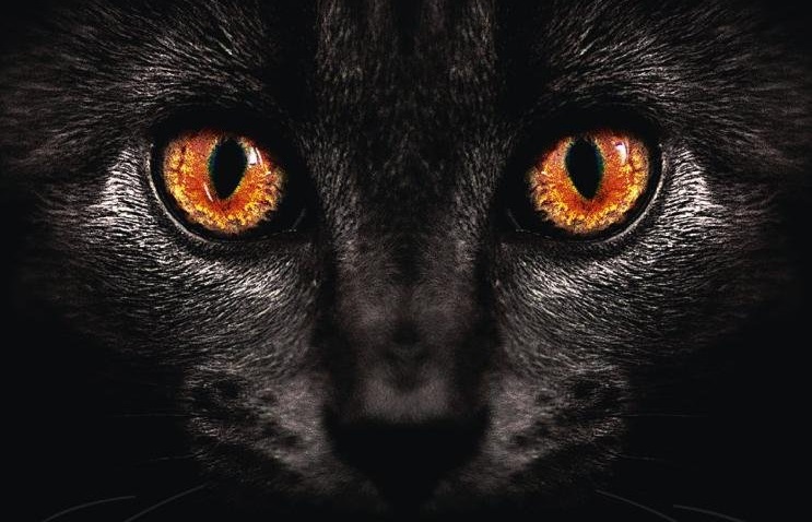 Reżyser Wielkiego Gatsby'ego nabył prawa do kolejnej adaptacji Mistrza i Małgorzaty