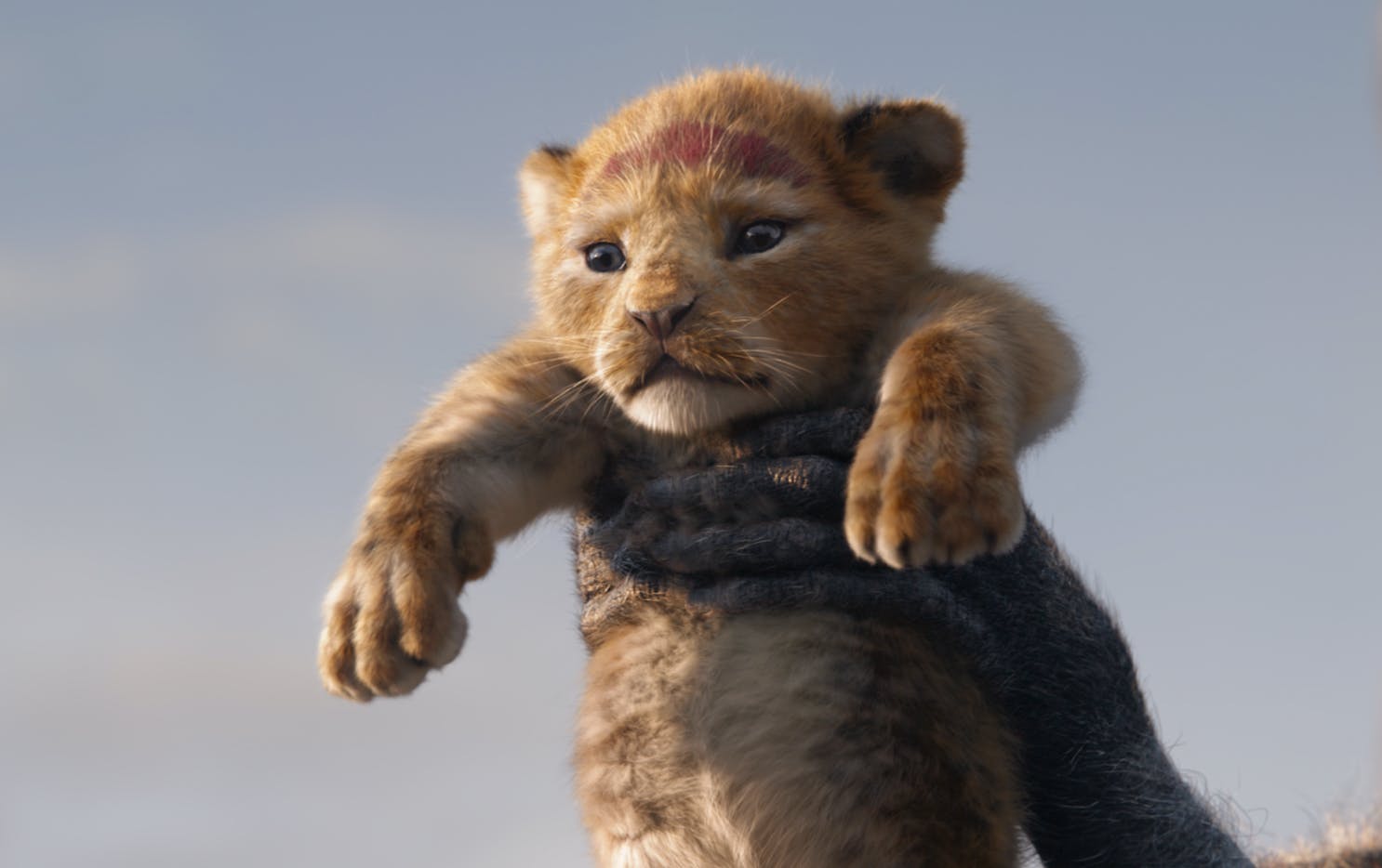     Król Lew z uniwersum jak Star Wars? Disney ma plany