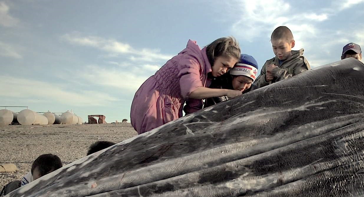     10 najlepszych dokumentów do obejrzenia w weekend w TVP VOD. Co warto zobaczyć?