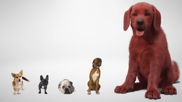 Clifford wielki czerwony pies w drodze na ekran. Pierwszy teaser filmu